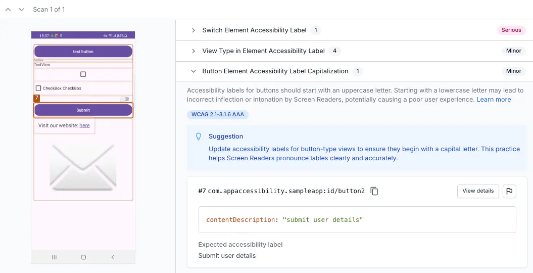 Button Element Accessibility Label capitalisation violation